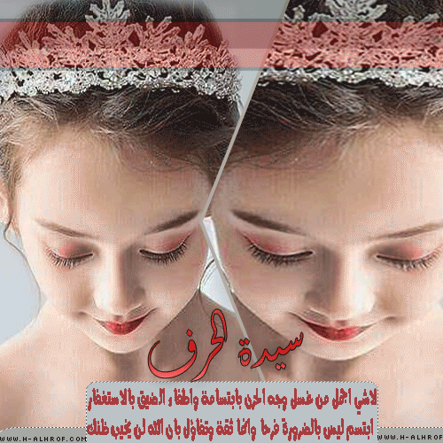 قوانين قسم المعلومات والثقافه العامه