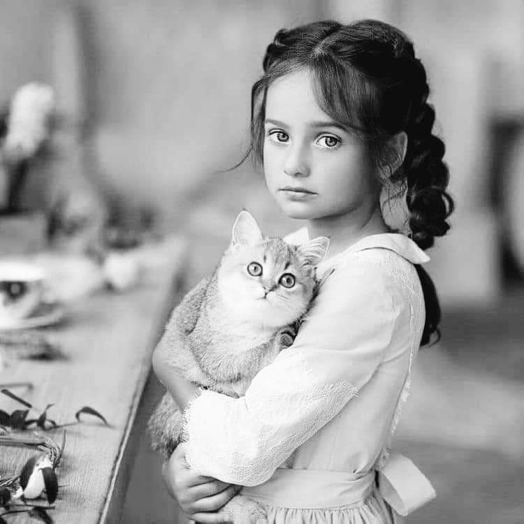 نقره لعرض الصورة في صفحة مستقلة