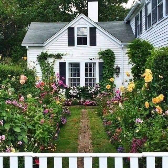 ���� ���� ������ �� ���� ������