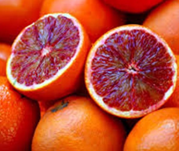Red Blood Oranges seed