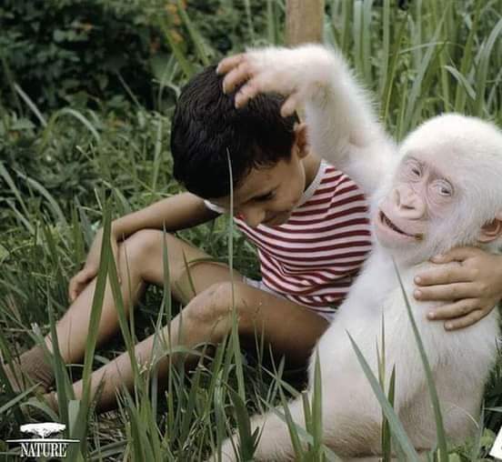 ���� ���� ������ �� ���� ������