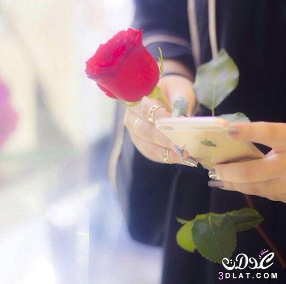 ���� ���� ������ �� ���� ������