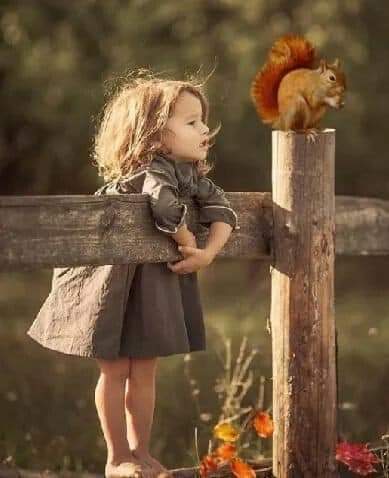 ���� ���� ������ �� ���� ������