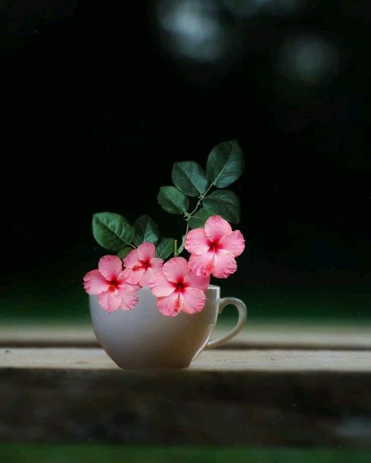 ���� ���� ������ �� ���� ������