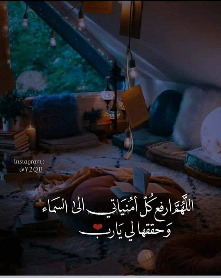 ���� ���� ������ �� ���� ������