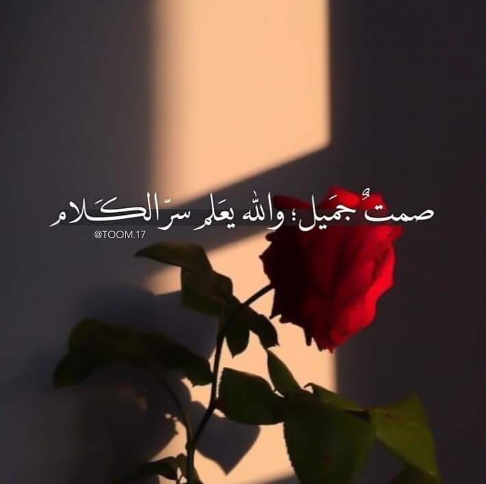 ���� ���� ������ �� ���� ������