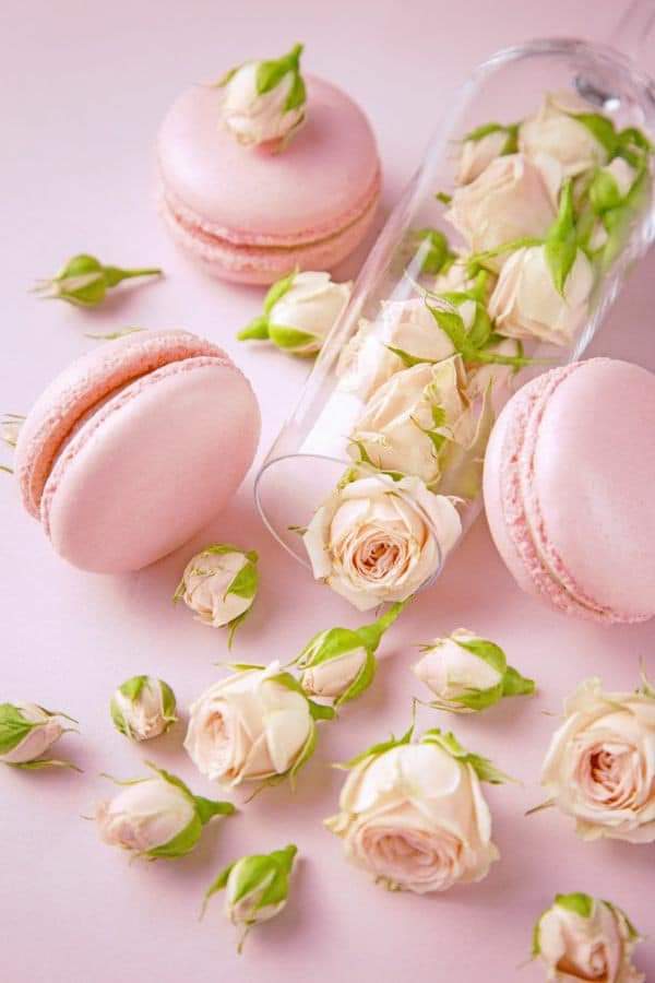 ���� ���� ������ �� ���� ������