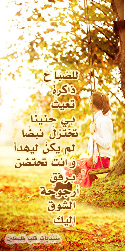 ���� ���� ������ �� ���� ������