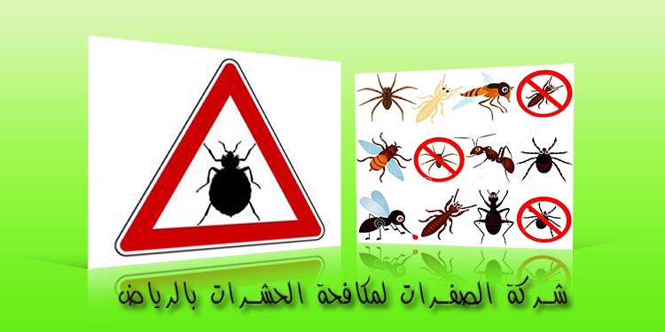 شركة مكافحة حشرات في الرياض P_185829b3z3