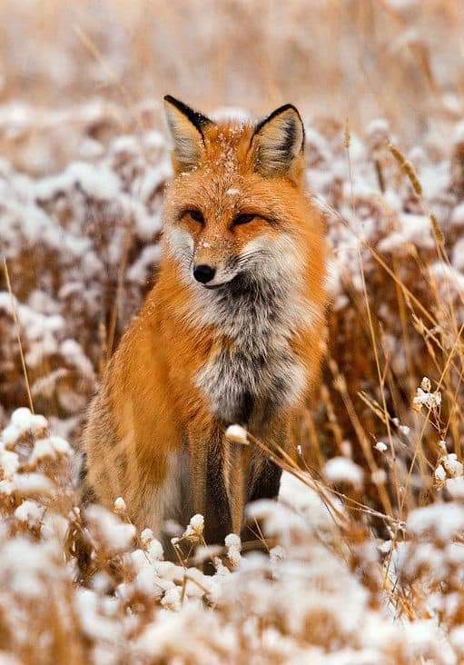 ���� ���� ������ �� ���� ������