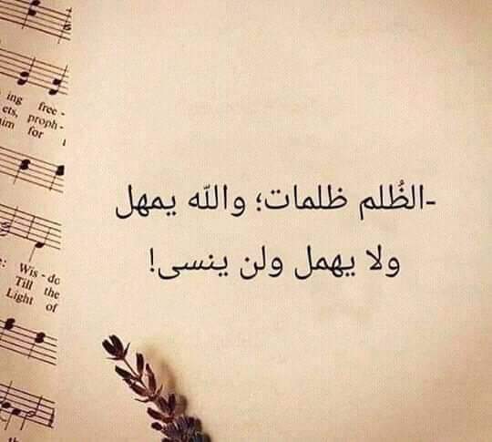 ���� ���� ������ �� ���� ������