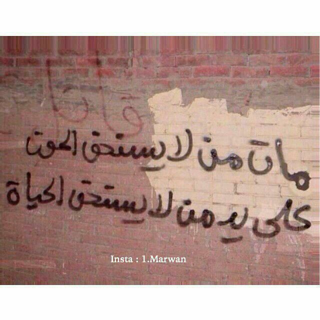 ���� ���� ������ �� ���� ������