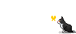 p_1964jufhg2.gif