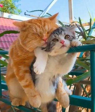 ���� ���� ������ �� ���� ������