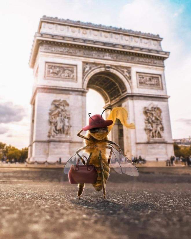 ���� ���� ������ �� ���� ������