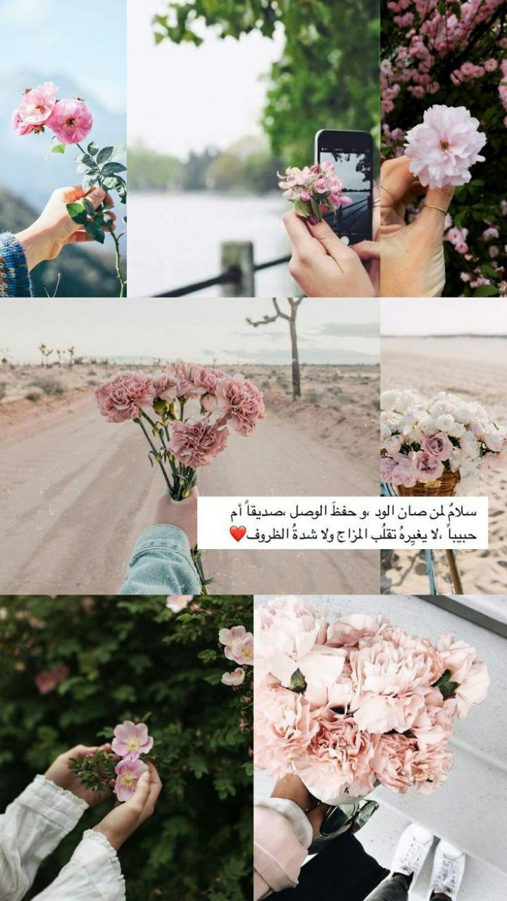 ���� ���� ������ �� ���� ������