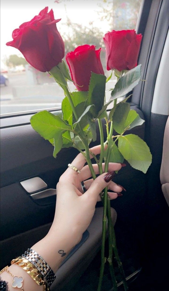 ���� ���� ������ �� ���� ������