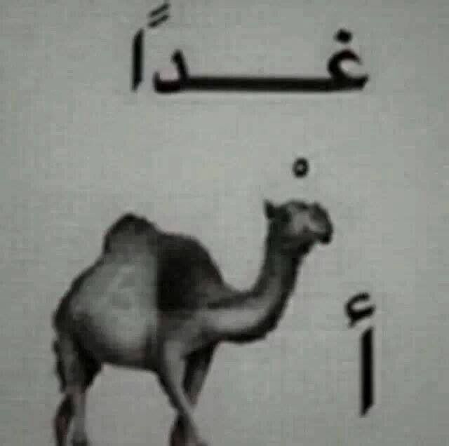 ���� ���� ������ �� ���� ������