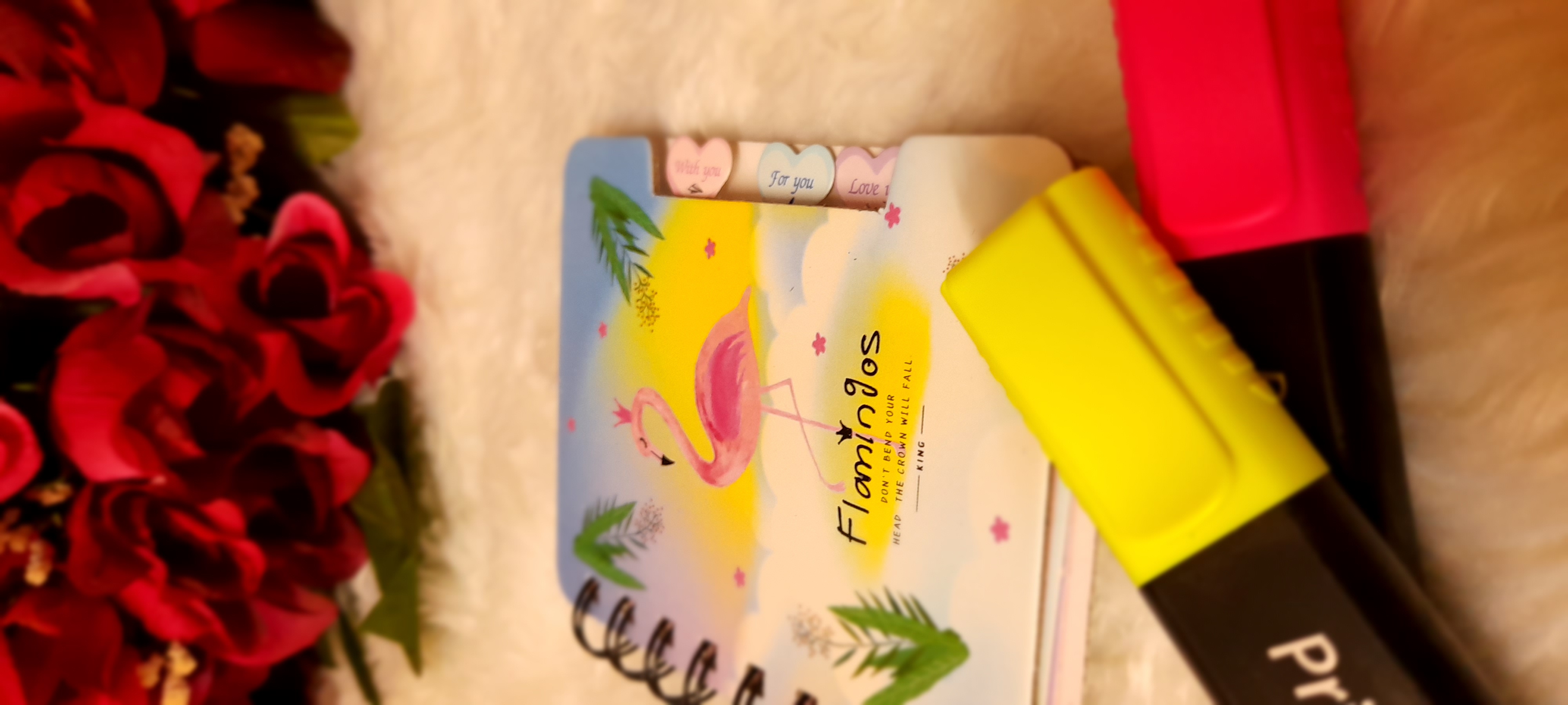 ���� ���� ������ �� ���� ������