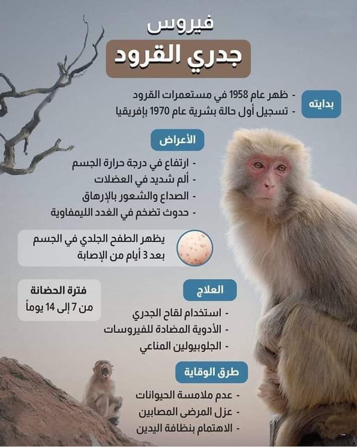 حقيقة رصد جدري القرود في السعودية