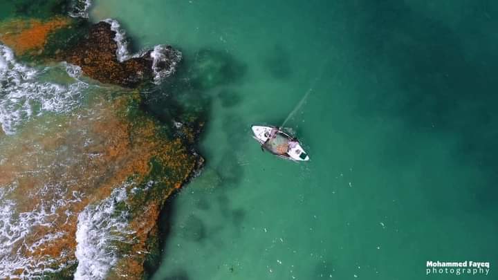 ���� ���� ������ �� ���� ������