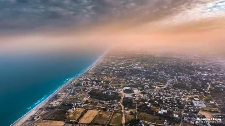 ���� ���� ������ �� ���� ������