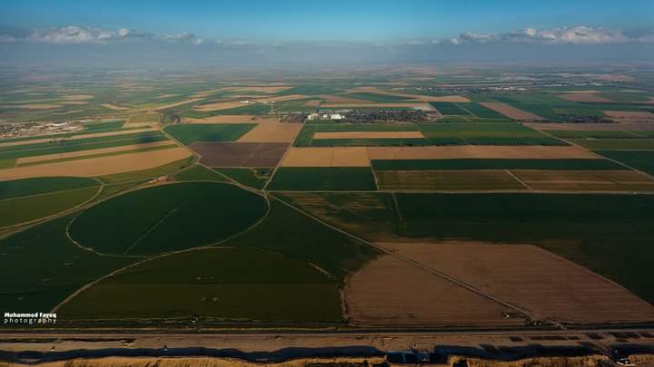 ���� ���� ������ �� ���� ������