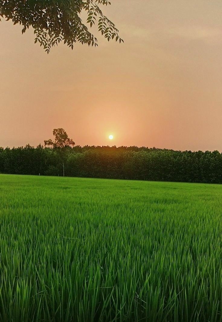 ���� ���� ������ �� ���� ������