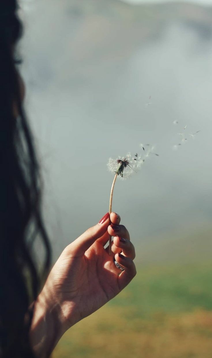 ���� ���� ������ �� ���� ������