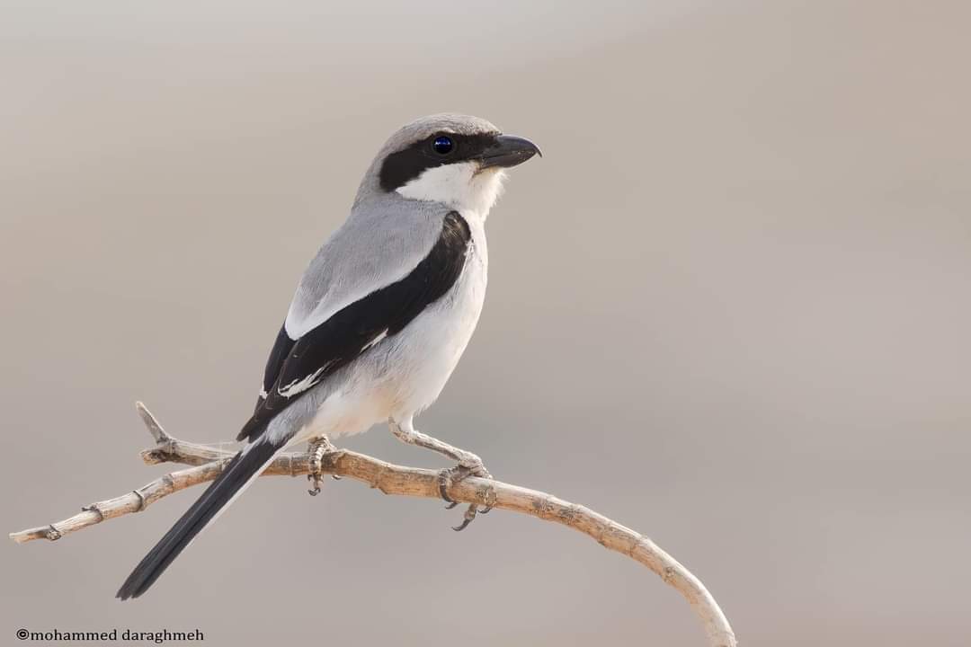 ���� ���� ������ �� ���� ������