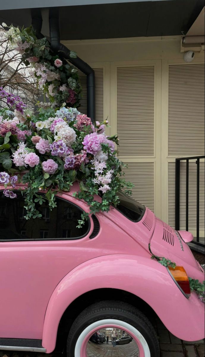 ���� ���� ������ �� ���� ������