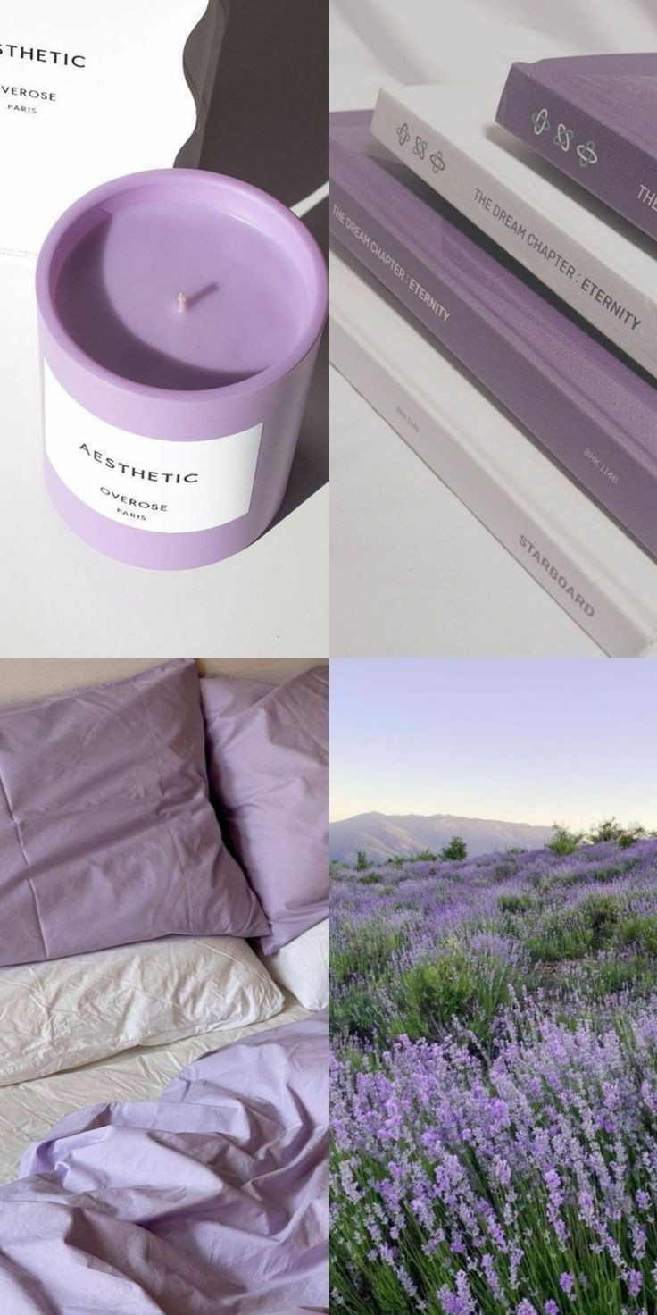 ���� ���� ������ �� ���� ������