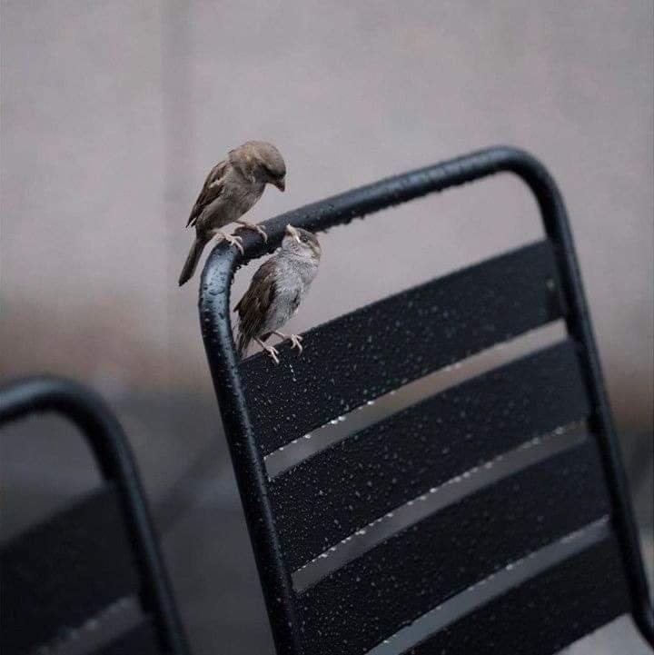 ���� ���� ������ �� ���� ������