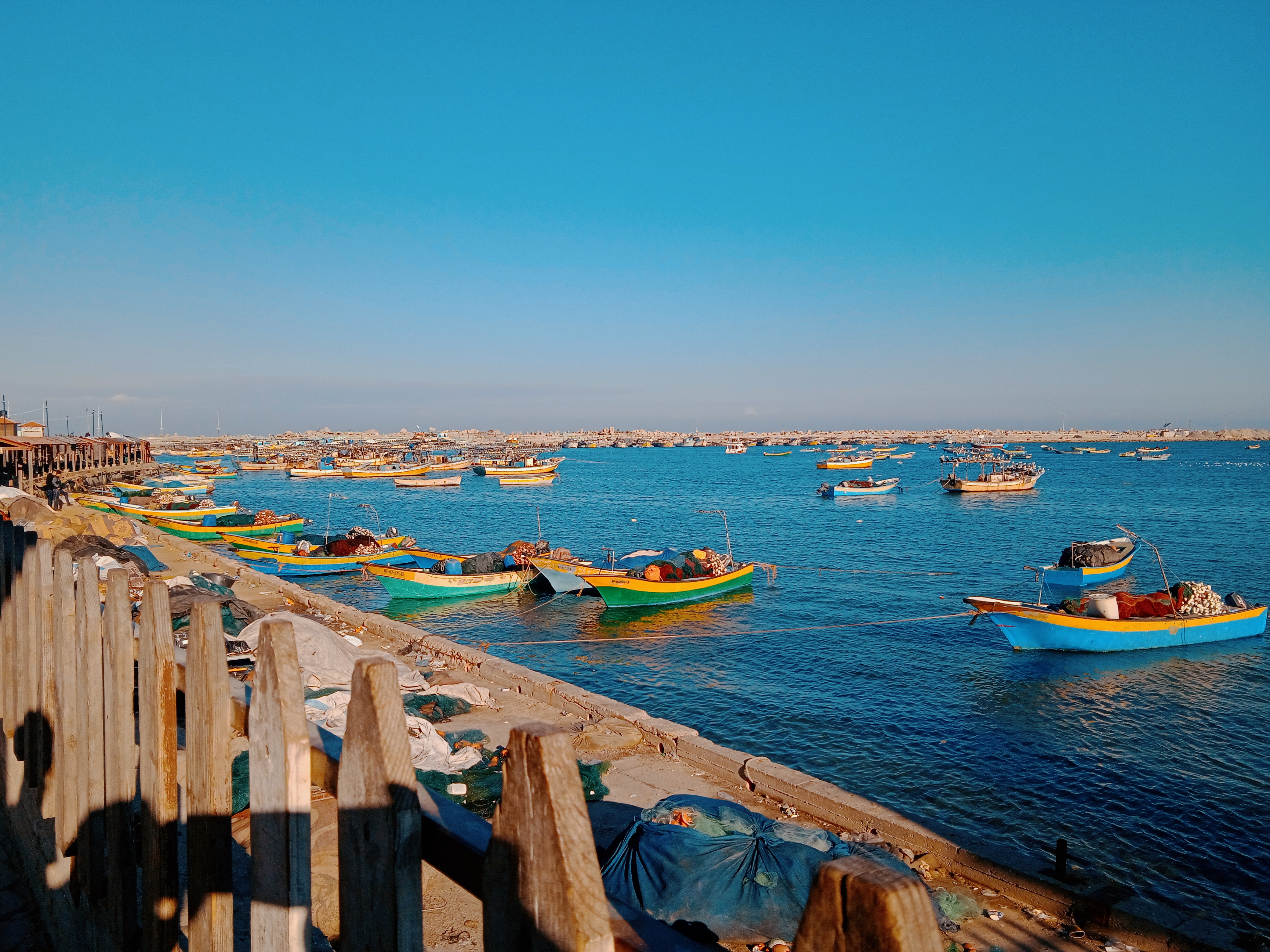 نقره لعرض الصورة في صفحة مستقلة