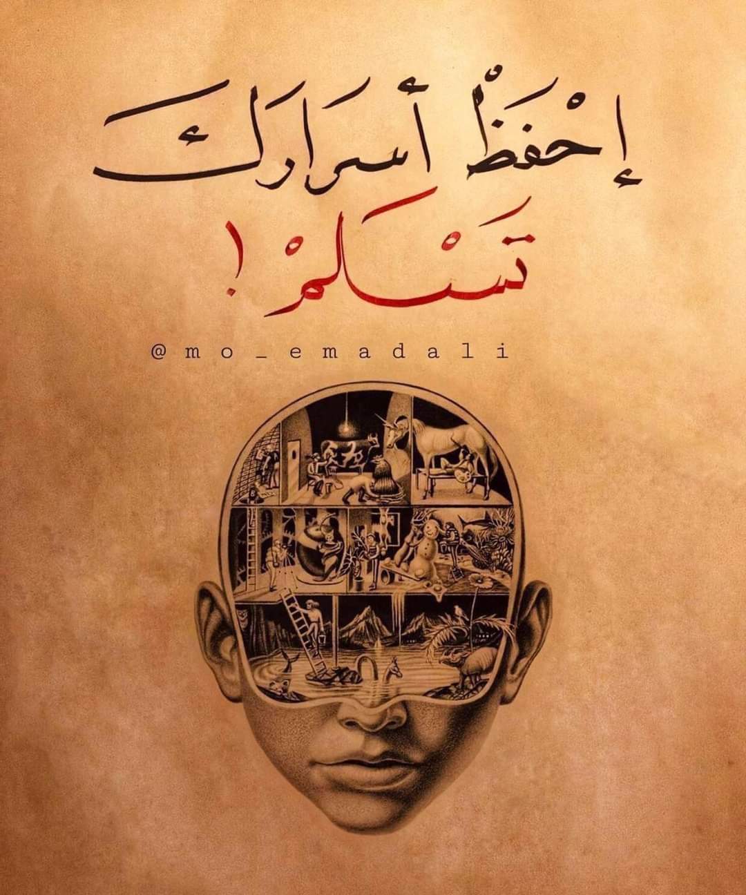 ���� ���� ������ �� ���� ������