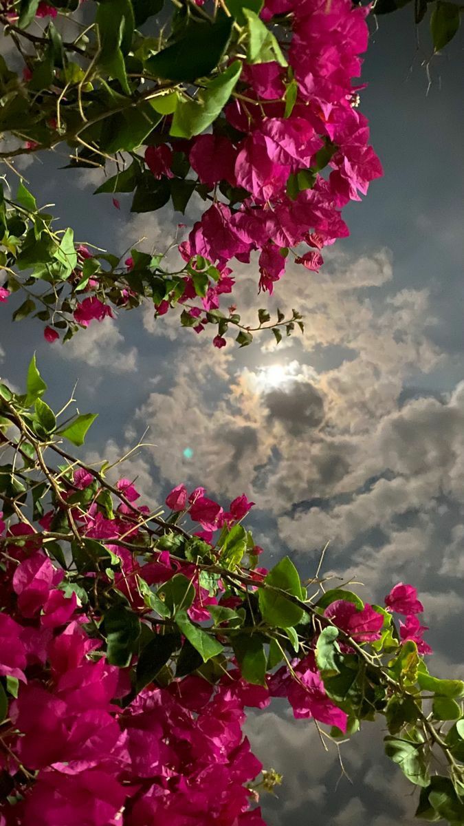 ���� ���� ������ �� ���� ������