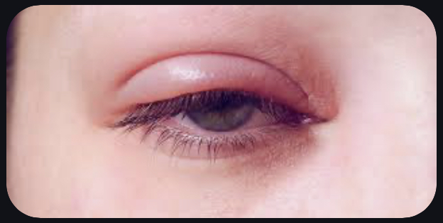 ������ ����� p_3380w2ws00.jpeg