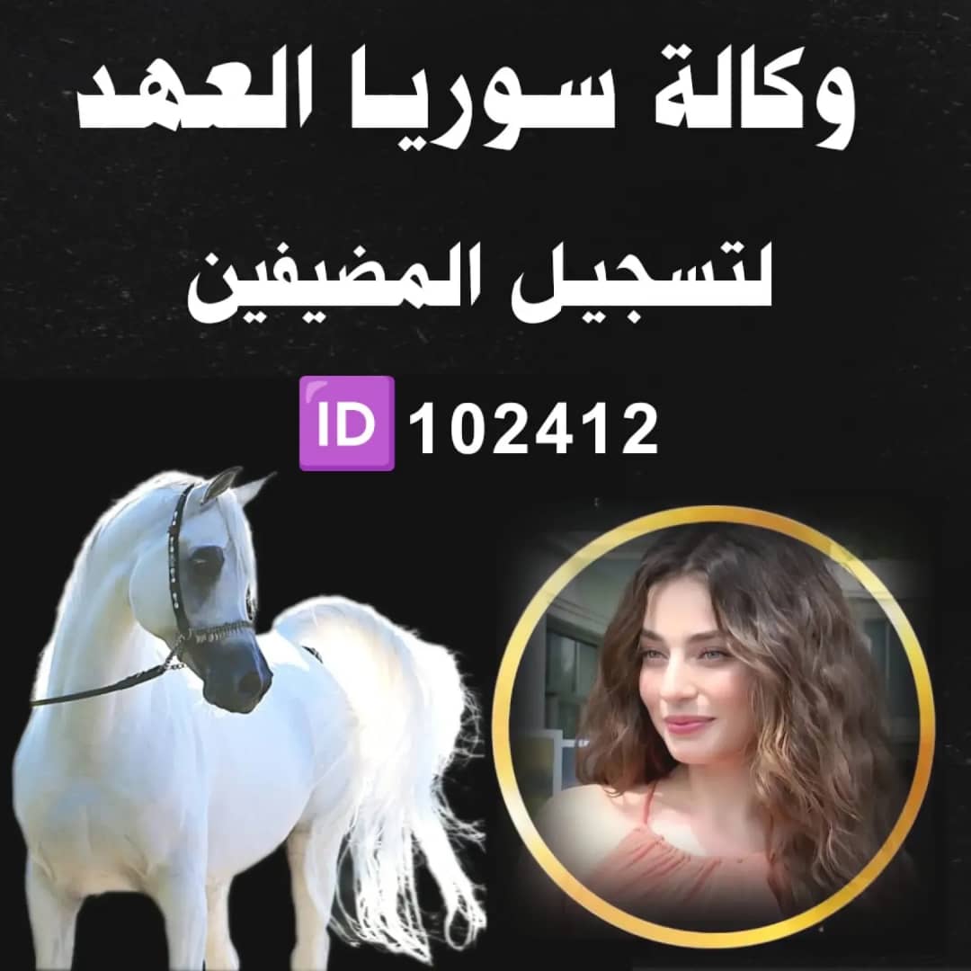 YOYO - سوريا العهد