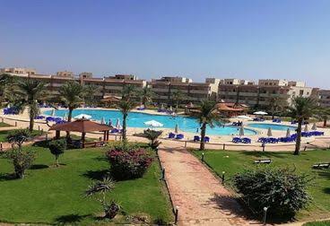 Hijaz Oasis 8