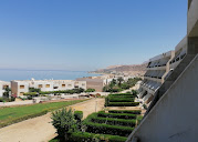 Hijaz Oasis image 1