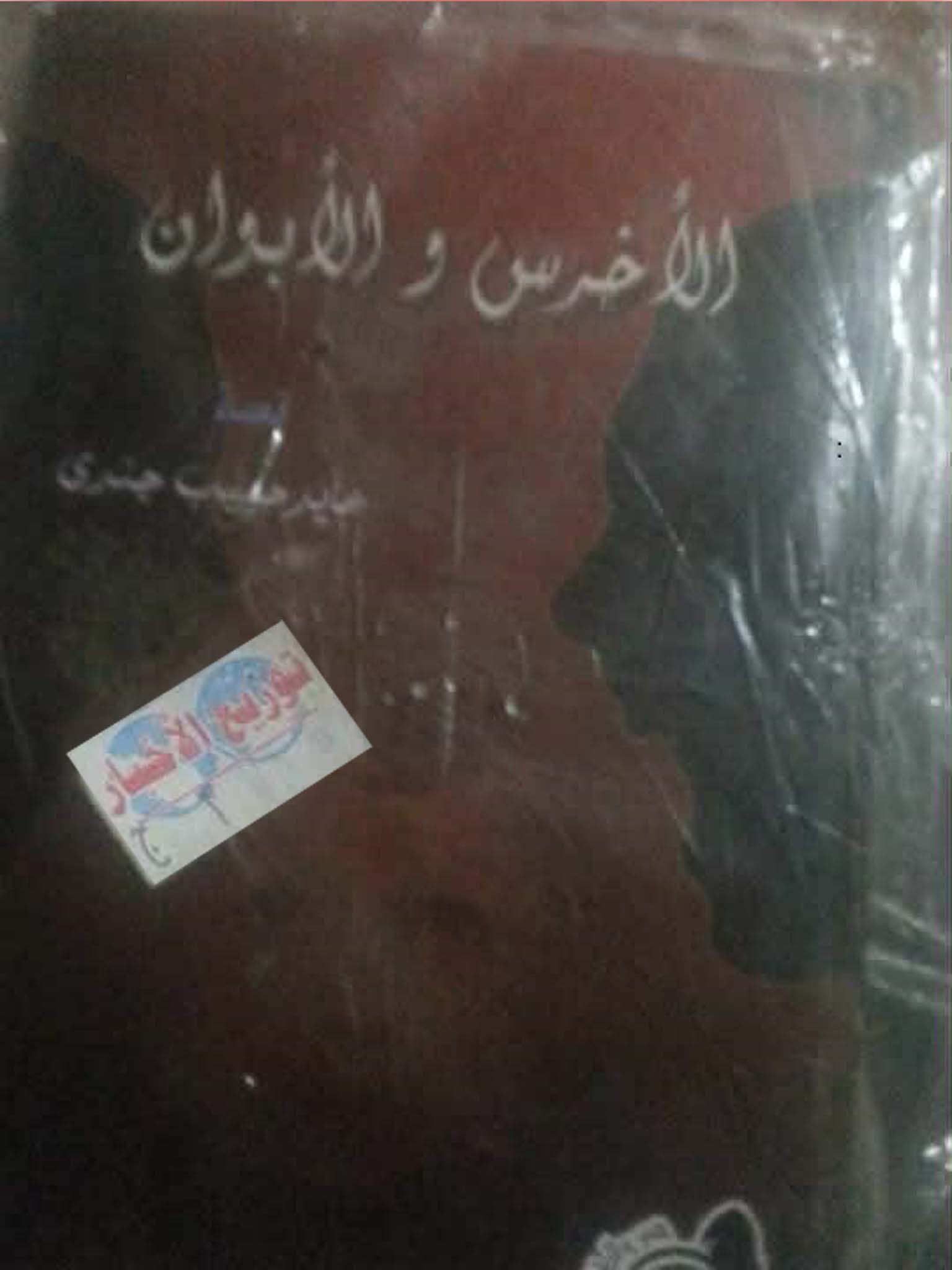 صورة إضافية 3