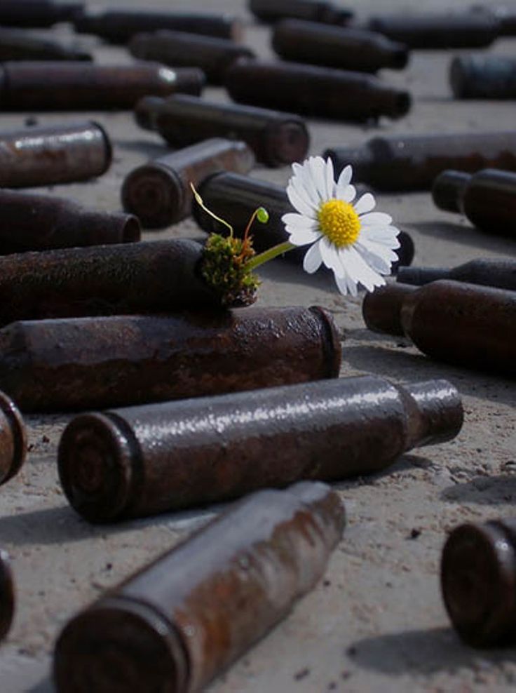 �������.. p_35980idph0.jpg