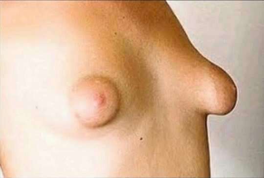 [Image: p_3601kwnm10.jpg]