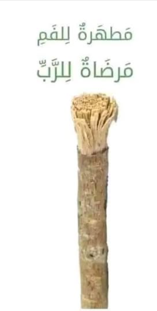 ������ ���� ������ �� ���� ������