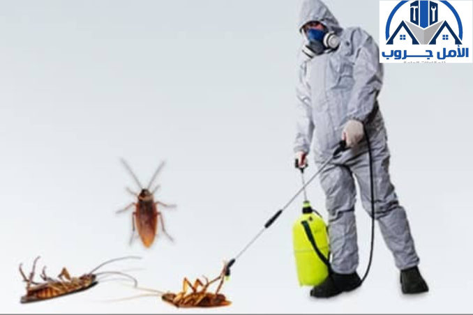 مكافحة الصراصير بالرياض