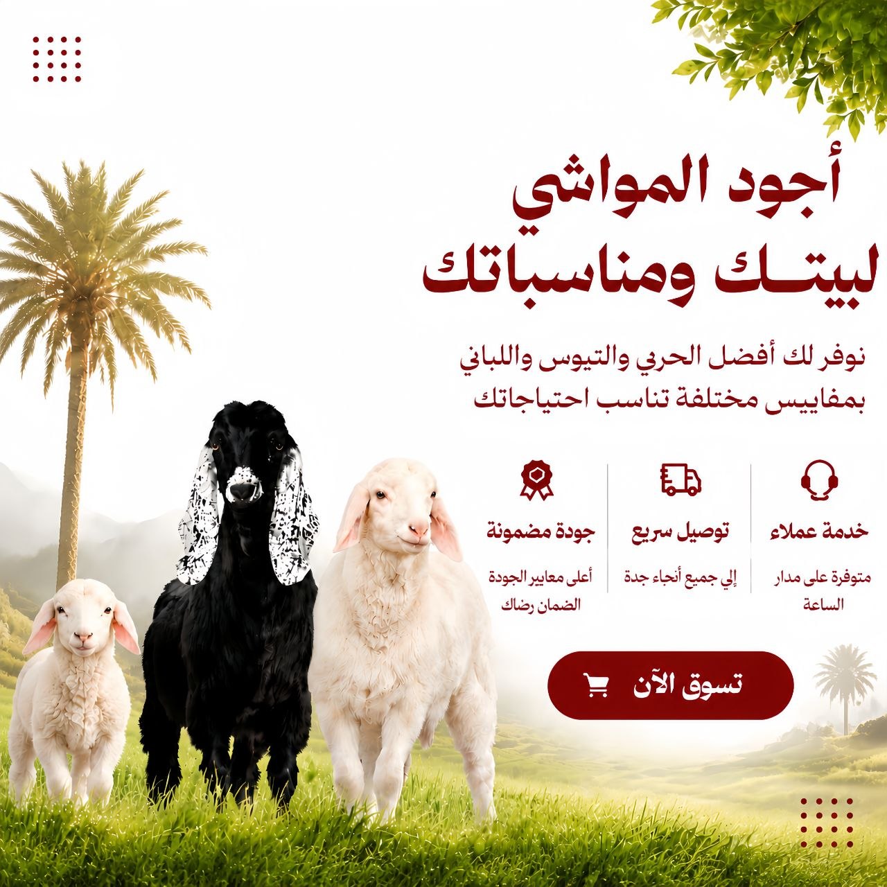 الراعي للذبائح والمواشي