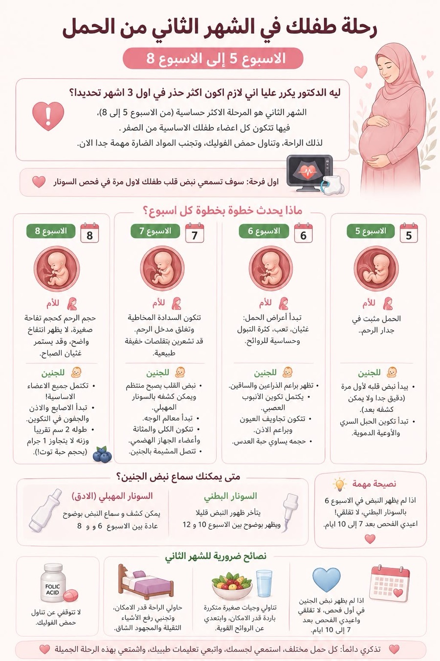 رحلة طفلك في الشهر الثاني